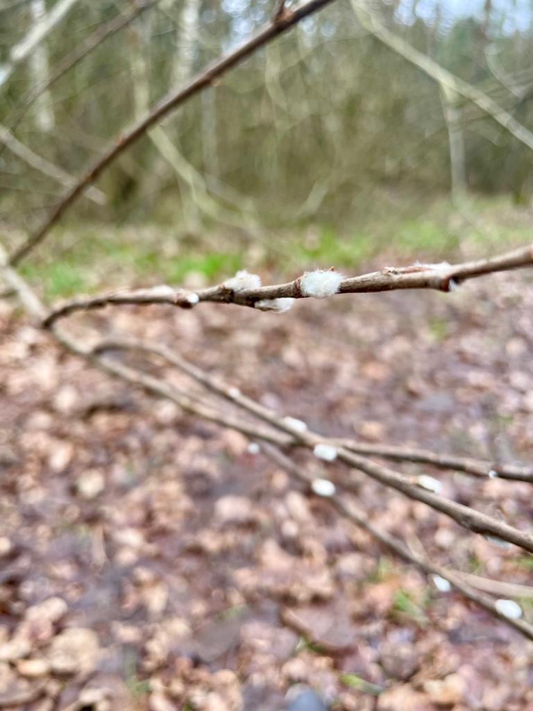 Działka pod usł. turystyczne / pensjonat