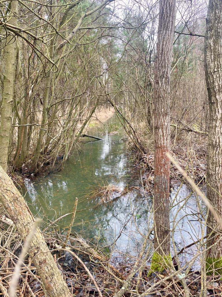 Działka pod usł. turystyczne / pensjonat